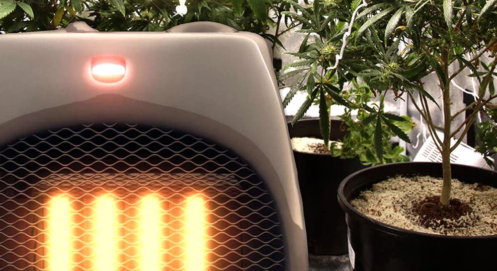Heater for Grow Tent: Maintaining Optimal Temperature