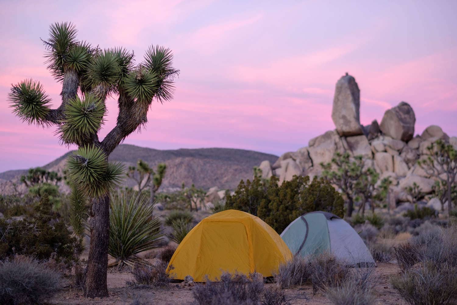 best time to camp in joshua tree
