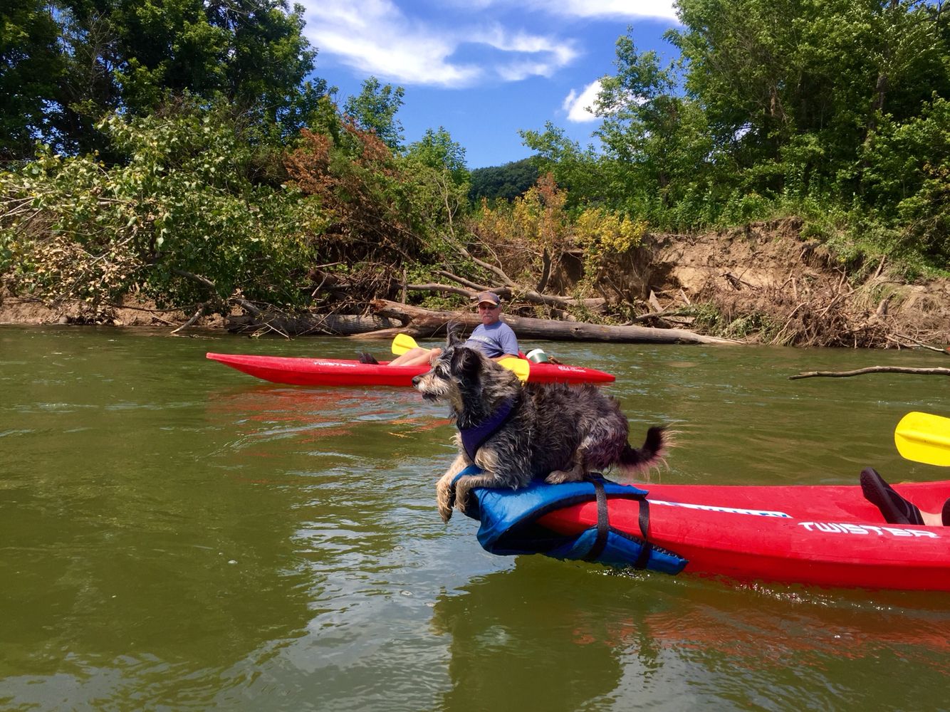 Kayaking at Sugar Creek