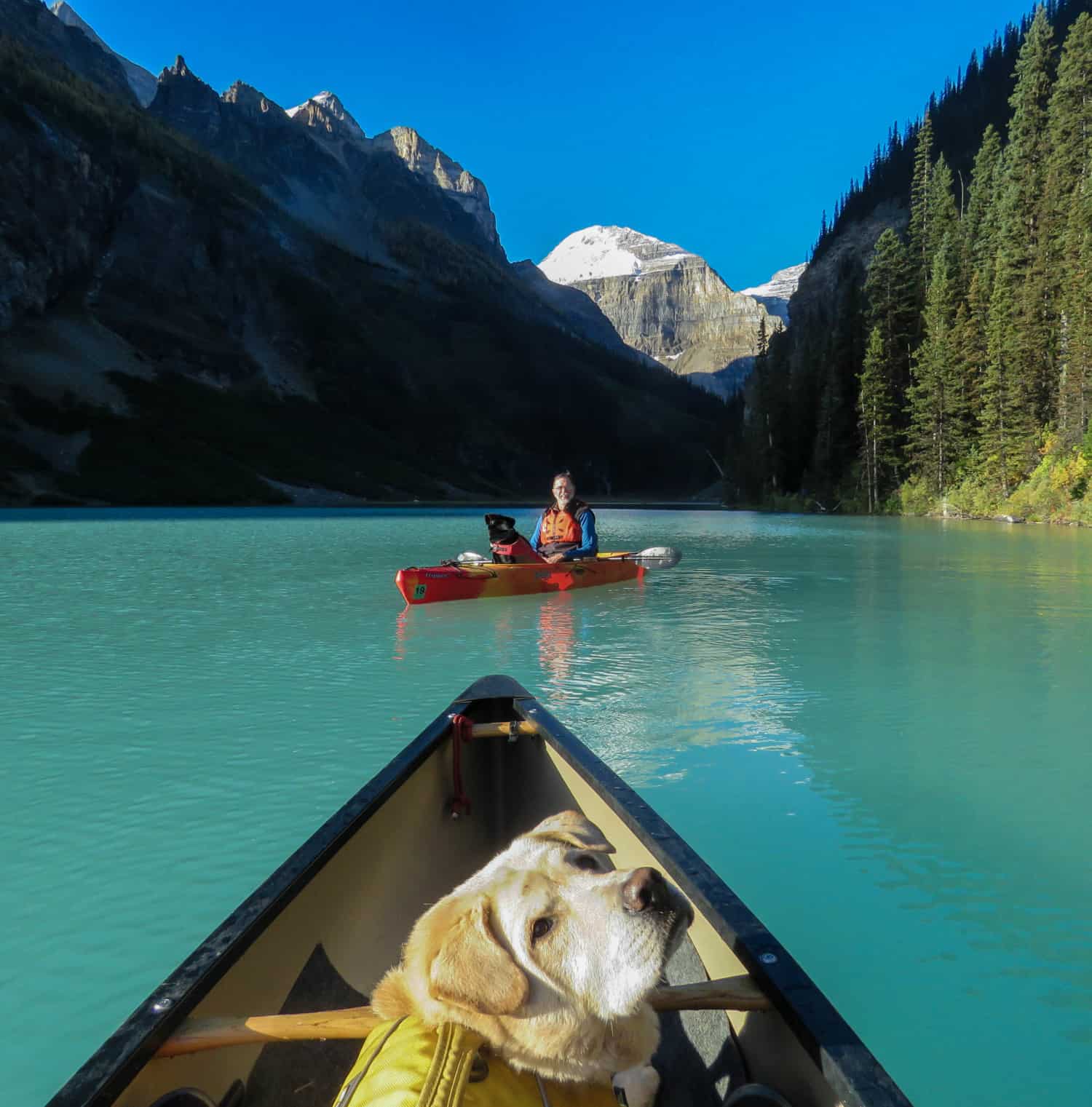 kayaking with your dog