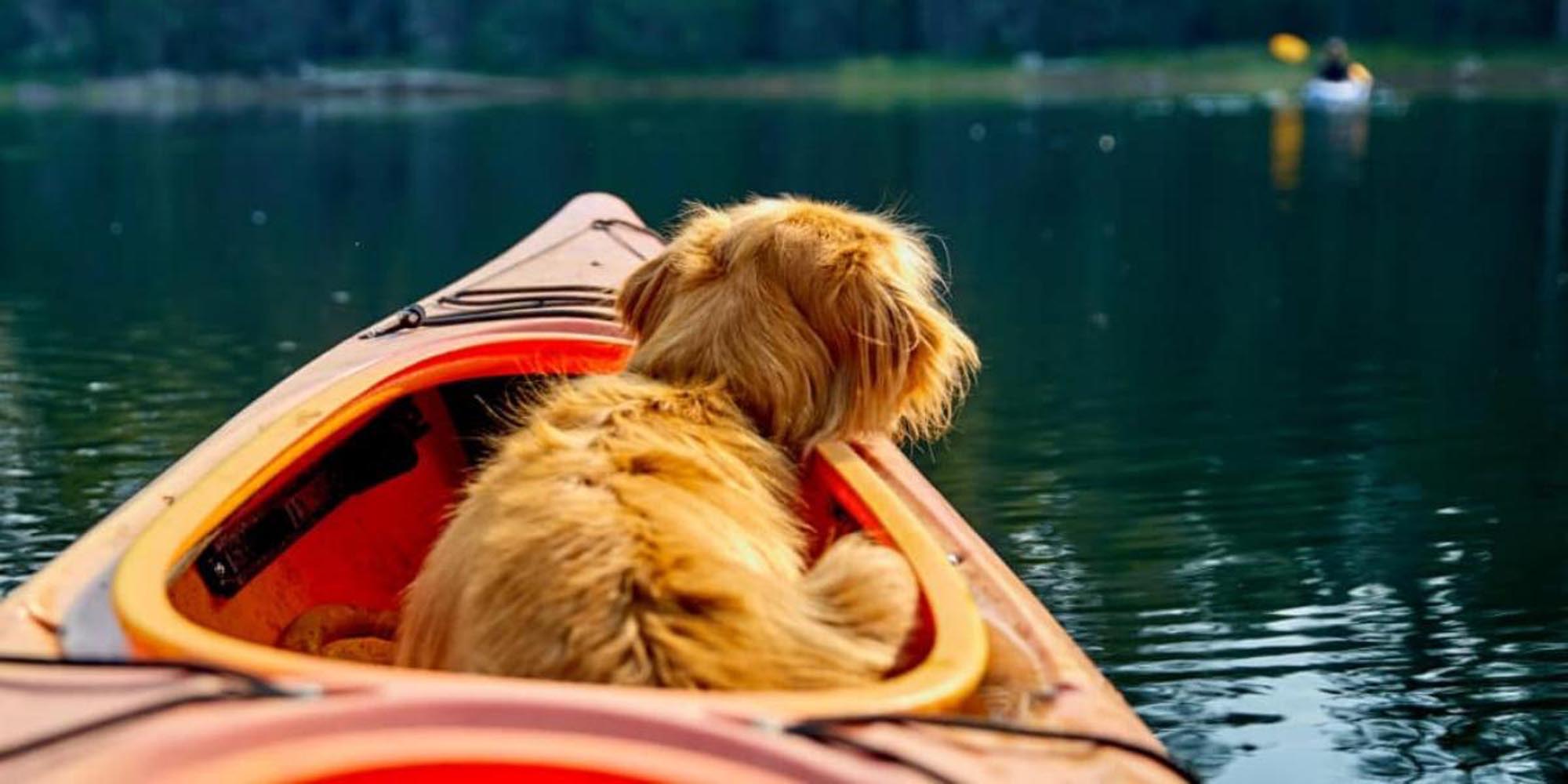 kayaking with your dog