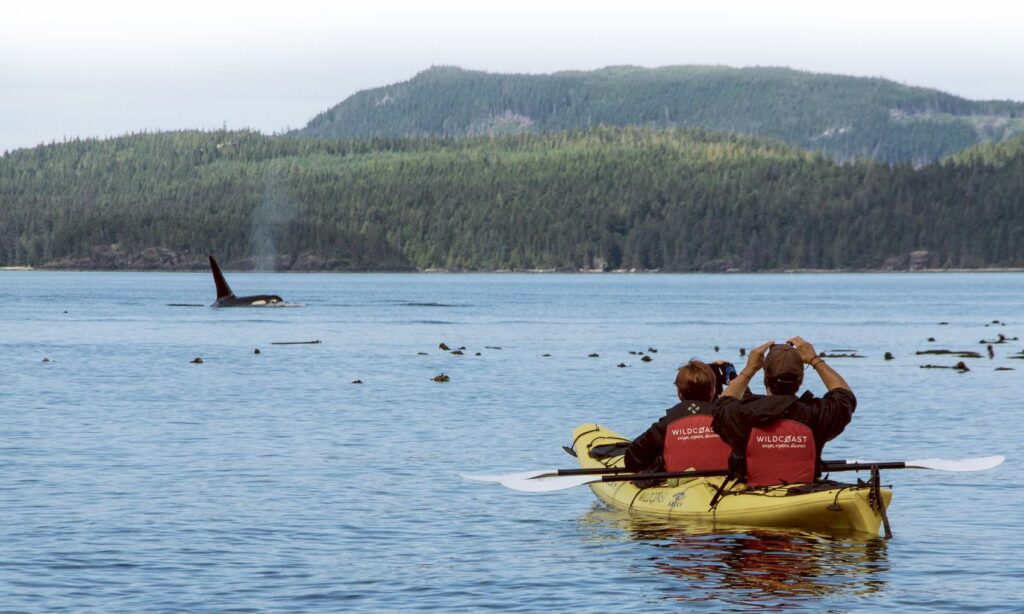 Benefits of Kayaking