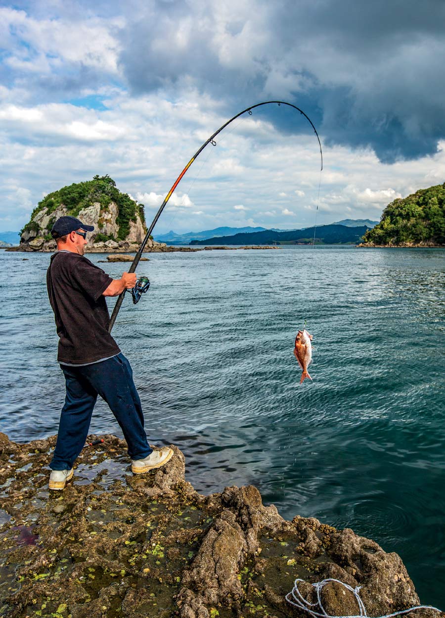 Fishing Leaders