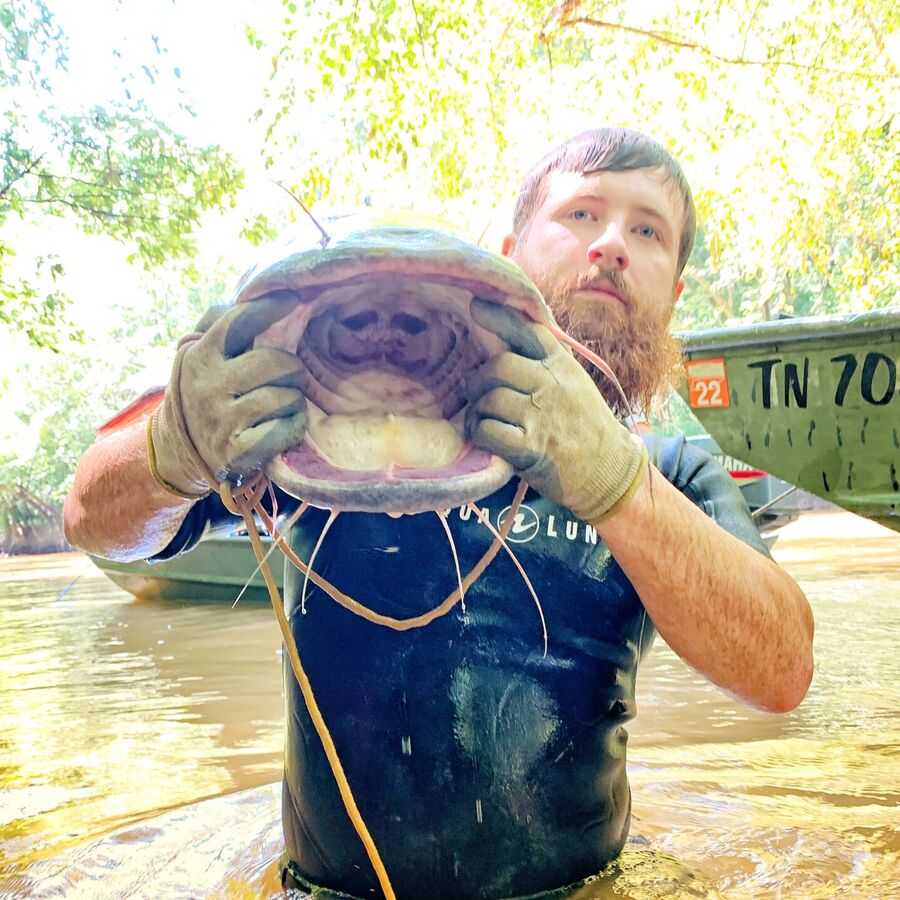 noodling fishing