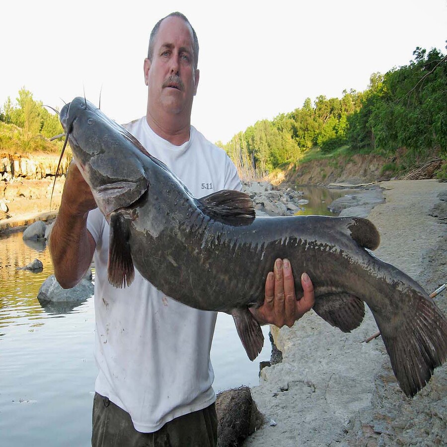 noodling fishing