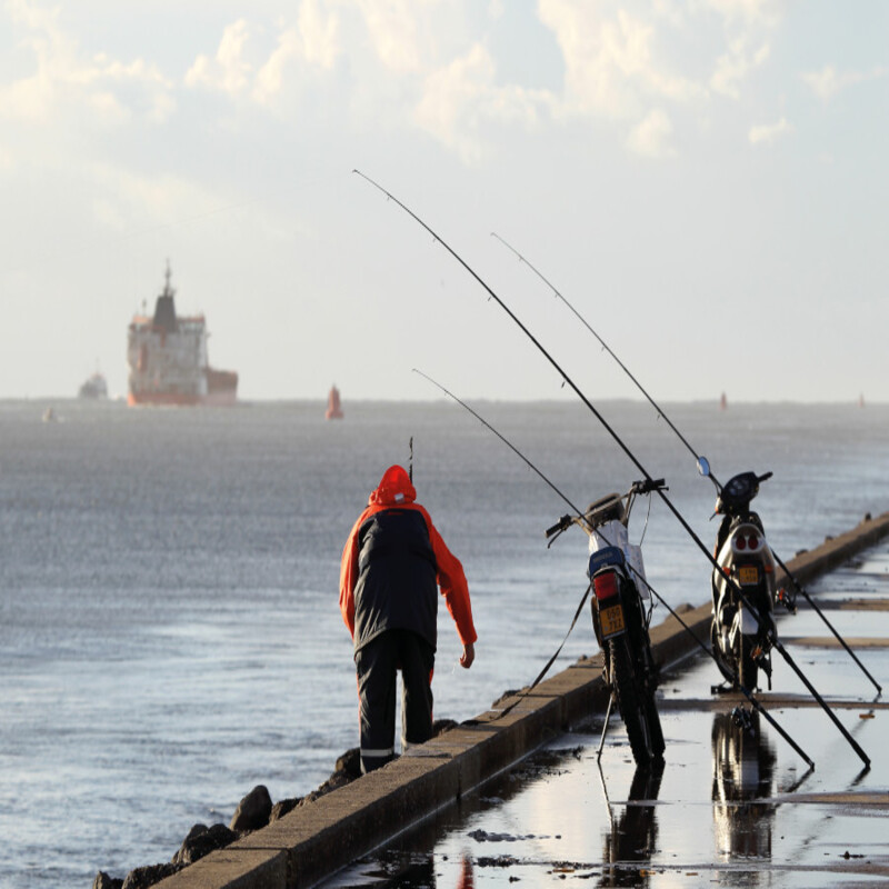 Best Tide for Fishing