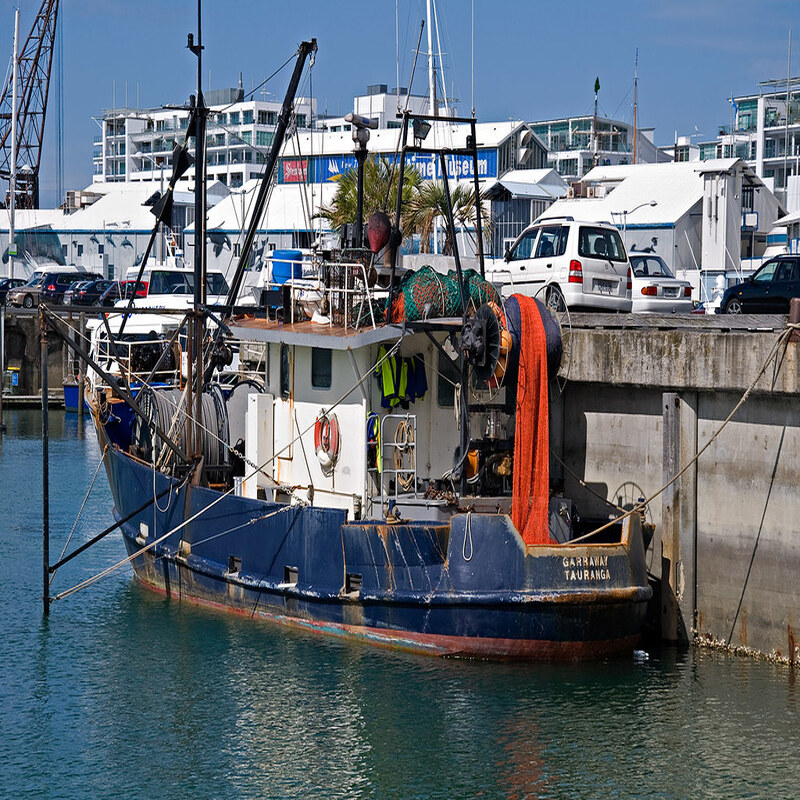 commercial fishing