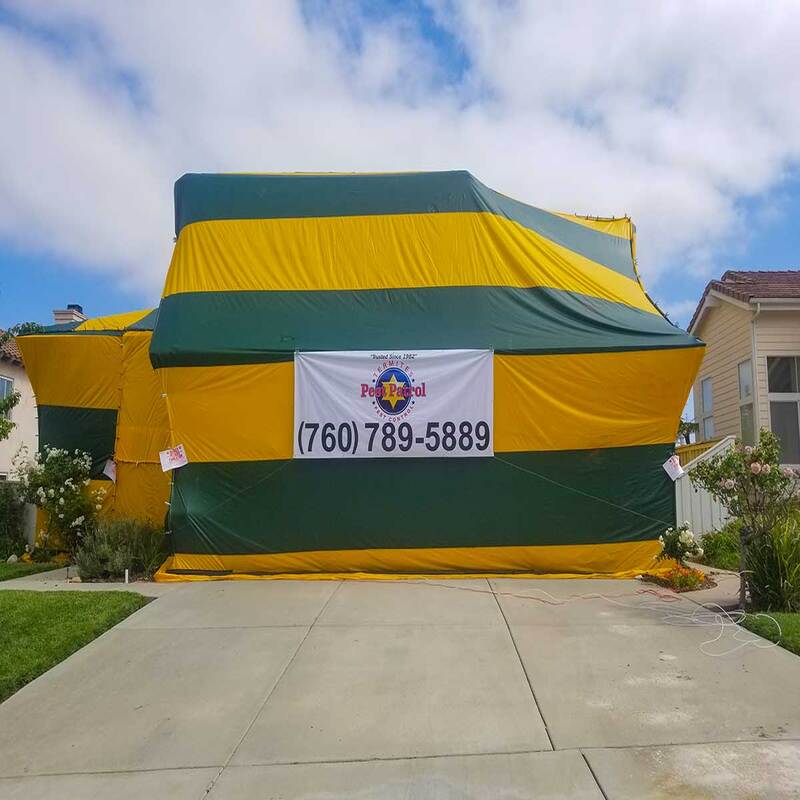 Tent a House for Termites