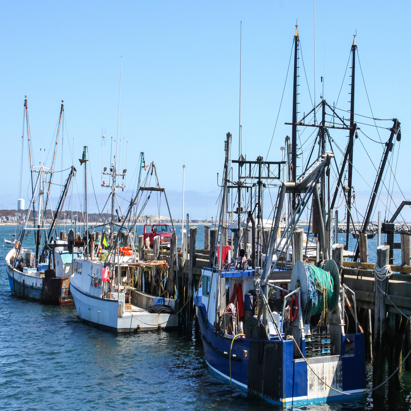 commercial fishing