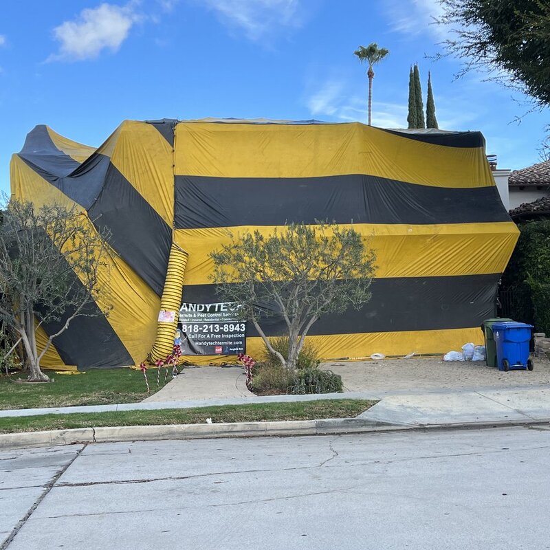 Tent a House for Termites