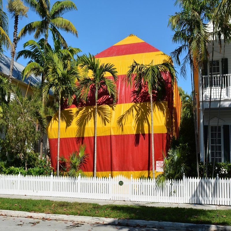 Tent a House for Termites