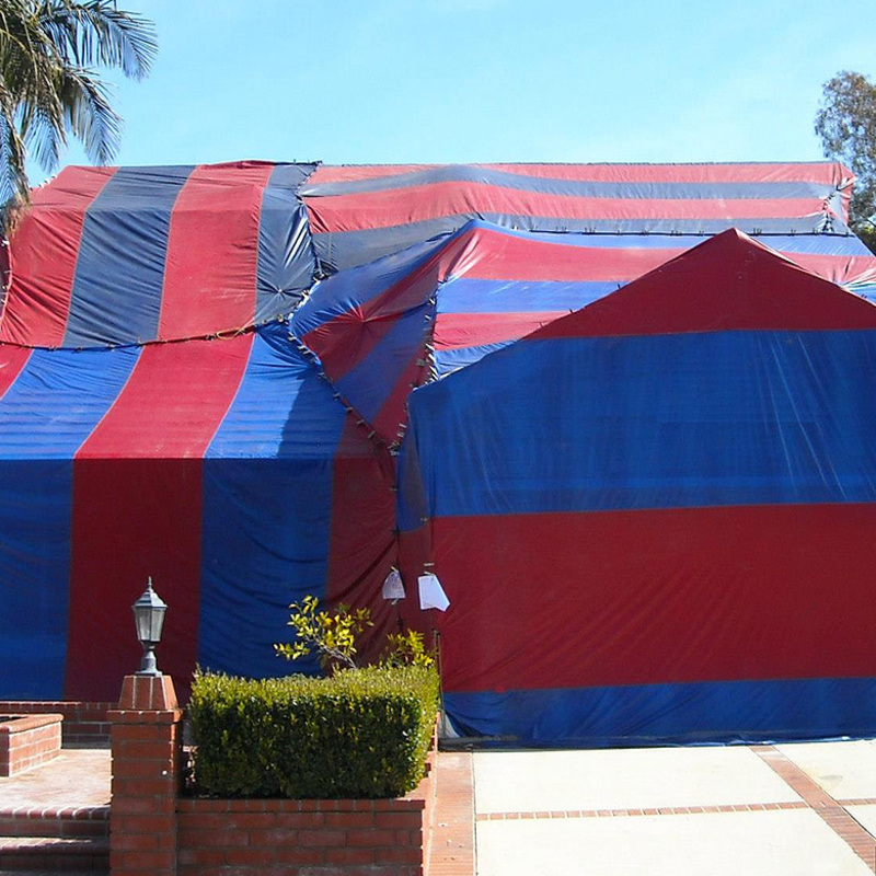 Tent a House for Termites