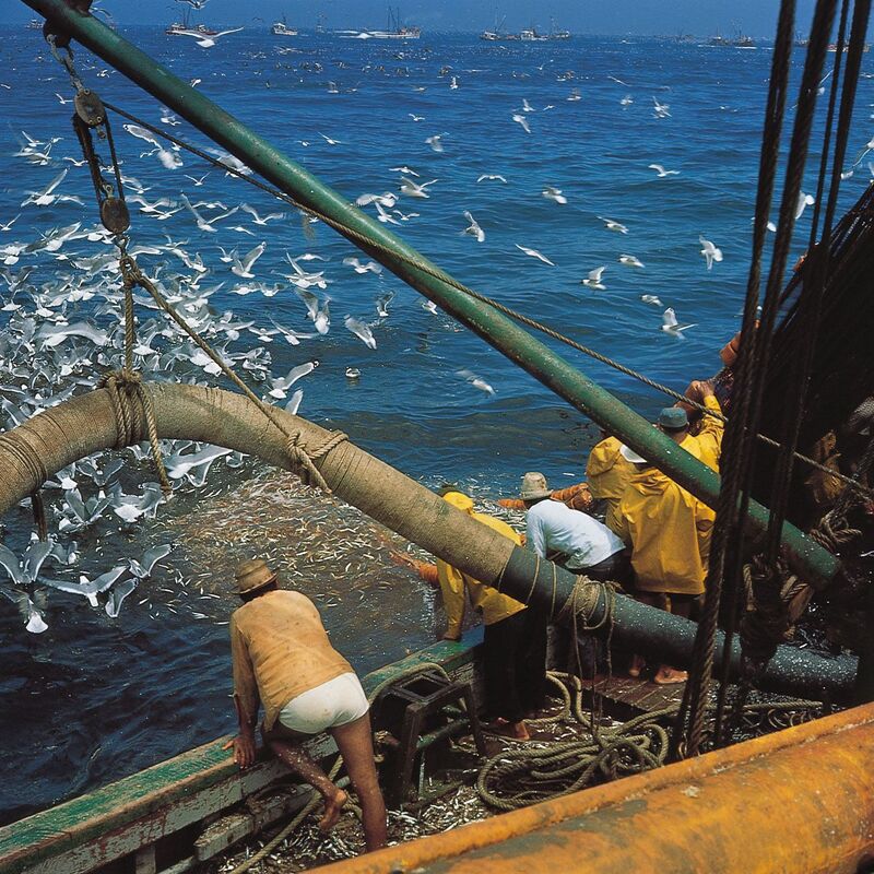 commercial fishing