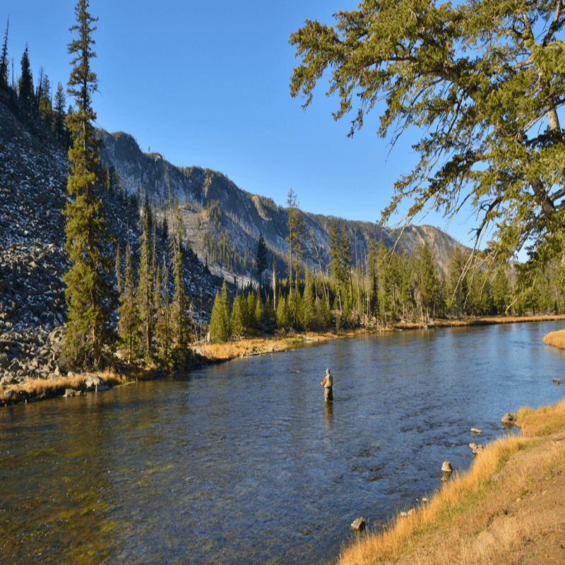 fishing license in montana