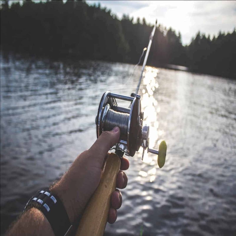 fishing license at walmart