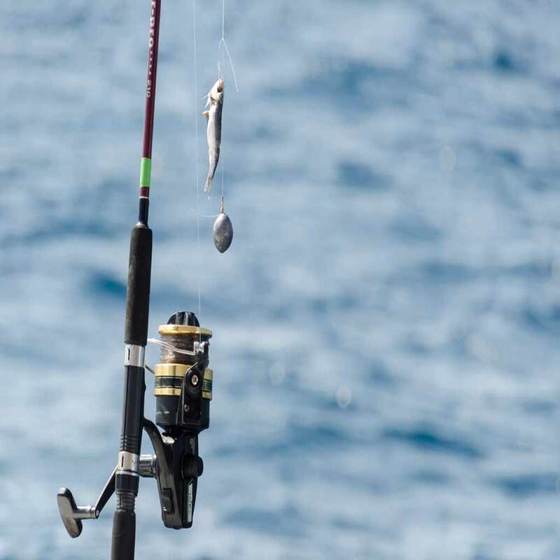 Setting Up Your Fishing Rod