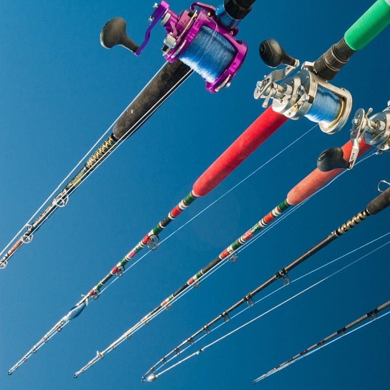 surf fishing rods