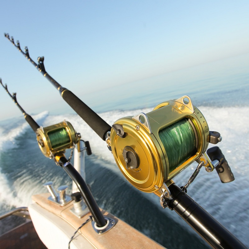 offshore fishing rods