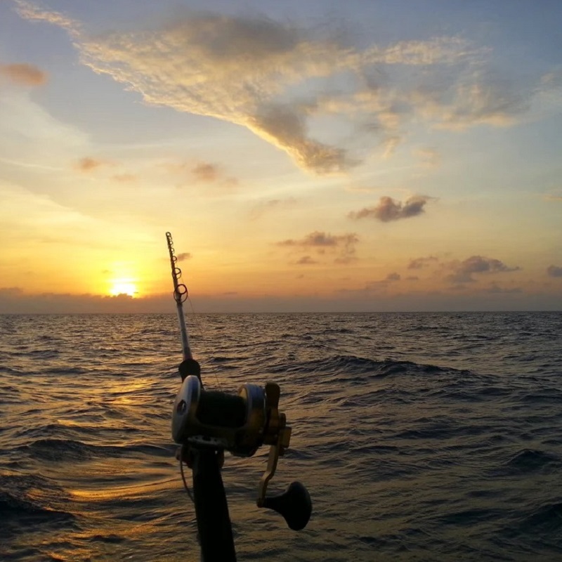 offshore fishing rods