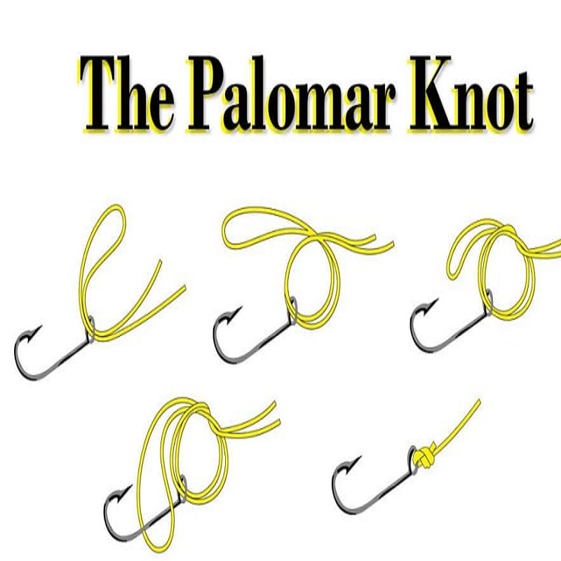 palomar knot